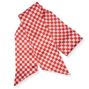 WOMEN'S RED AND WHITE CHECKED SCARF/SCARF                                                                    AP-3